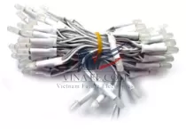 LED Liền Dây Phi 5 Trắng (100 Bóng)